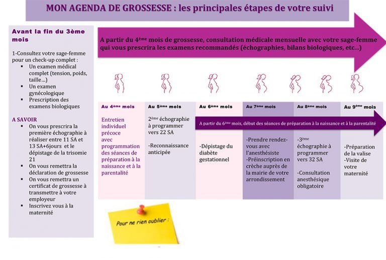 mon-calendrier-de-suivi-de-grossesse-rachel-halimi