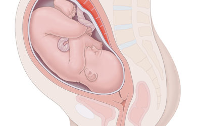 Positions du bébé à l’accouchement : comment bébé se présente-t-il ?